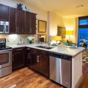 Kitchen_and_Living_Room_at_Block_334_in_Houston_TX