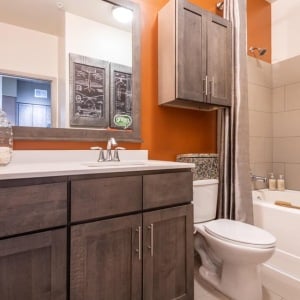 gallery_Bathroom-4ce1e557f177ec1e0e9c7d1015cb3a9b