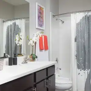 Griffis-SoCo-Austin-Model-Bathroom_Large_1280x720