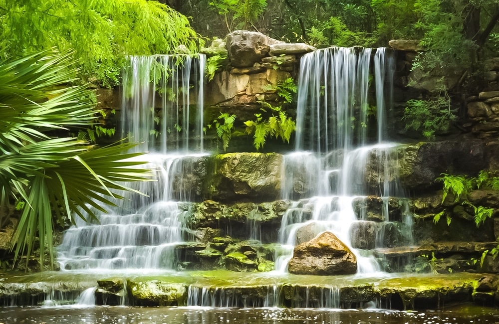 austin botanical gardens waterfall